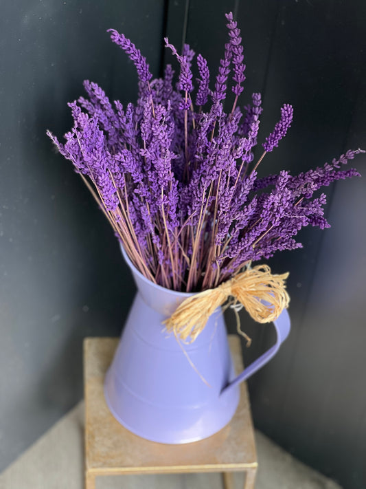 Dried Flower Range